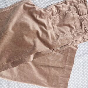 Anthropologie Taupe Velvet Pants